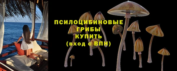 MDMA Заволжье