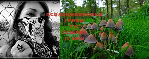 MDMA Заволжье