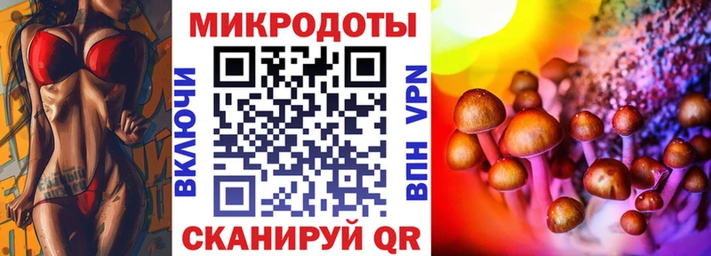 Купить где  Бежецк  Галлюциногенные грибы прущие грибы 